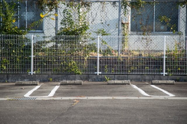 駐車場にある草木ぼーぼー